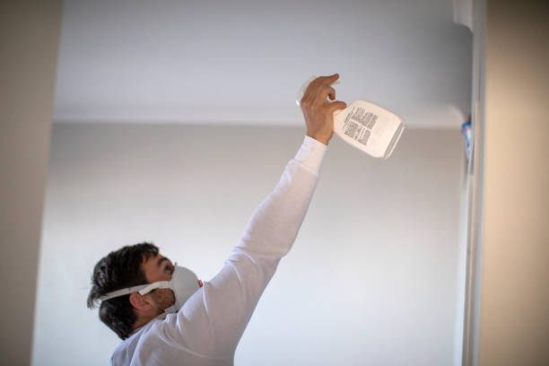 Best Residential Mold Remediation in Mabton, WA